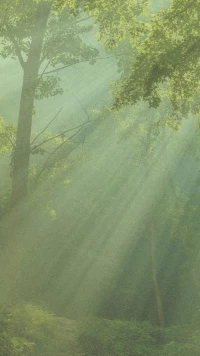 我們與生活里所有存在
都不時(shí)地充滿對抗
甚至在夢境里
也依然噩夢纏繞
那真的是你不肯放過自己配圖