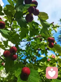 心里的垃圾定期倒一倒，什么事都會過去的。???配圖