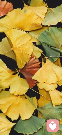 當一個人很焦慮的時候，其實是沒辦法通過很焦慮的趕快去學習“如何緩解焦慮”、從而能實現消滅已有焦慮的目的的。人無法用一種焦慮，去打敗另一種焦慮。配圖