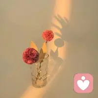 如果我們不清楚自己也不了解自己的行為表達(dá)，它就會像一個(gè)程序一樣一直影響我們。????配圖