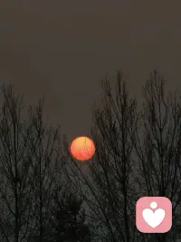 但得夕陽紅似火，何必惆悵近黃昏！配圖