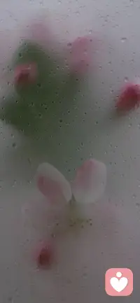 越自戀的人其實越自卑，因為自戀不是自愛，他們戀的只是別人眼中的自己。而真實的自己到底是什么樣，有什么樣的感受，他們是不在意的，他們關(guān)注的僅僅是別人眼中的那個虛弱的自己。???配圖