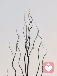 任何人都是这样，处理别人的事情总是大刀阔斧一把抓住问题，轮到自我却沉浸在细枝末节不肯放手。​​配图