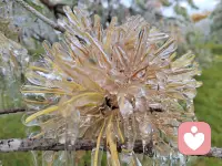 所有痛苦情绪的底层是恐惧，所有恐惧的底层是不相信和不配得……配图