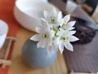無數的情感探索到最后都是無法言說的哀傷，也只有不斷地靠近那些哀傷，人才能真正分離和成長。配圖