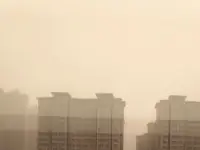 吃土的天氣又來了
春暖花開的日子也快了配圖