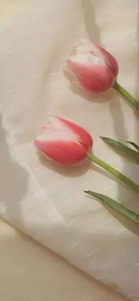 志向要遠些，目標要近些！配圖