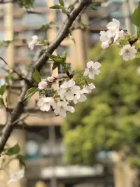 當(dāng)你發(fā)自內(nèi)心地想做一件事情，某種程度上相信自己可以做到，被理想和目標(biāo)引領(lǐng)著向前的時(shí)候，很多困難就不再只是困難，也成為了抵達(dá)目的必經(jīng)的路標(biāo)！配圖