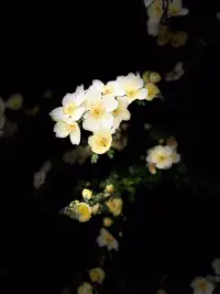 當我們過于相信和認同別人對自己的差評，就相當于在允許和邀請別人做自己世界的主人或權威。 ???配圖