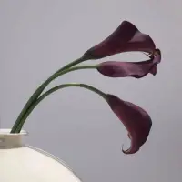 任何人对你的了解，都不如你对你自己的了解。
足够了解自己，清晰的知道自己要什么，你才能去清晰的沟通和表达！配图