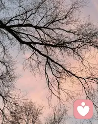 不是不去追求和拥有任何东西，而是不要执着，不要死死地守护着它。 ​​​配图