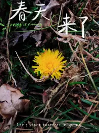 面對孤獨，發展出回應自己的能力。
無論你曾經被如何對待，你都可以學習用新的方式對待自己。配圖