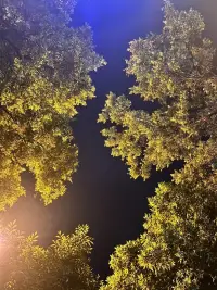 當你想逃的時候就是療愈自己的最佳時機。
帶著恐懼，穿越內在的無力、無助的那部分，生命之光就開始閃耀。配圖