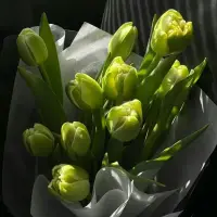 每一個(gè)人，天生都是有力量的。?但如果長(zhǎng)期接受負(fù)面的暗示，人就會(huì)遺忘這一份力量，認(rèn)為自己只能虛弱地活著。配圖