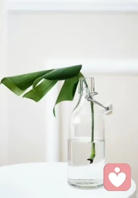 外界的聲音都是參考，
你不開心就不要參考 。配圖