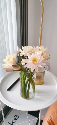 小閑即歡，小清即靜。
?#周日快樂配圖