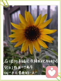 【教育?孩?的子?三面魔鏡】
??放大鏡：把孩?子?優的?點?放大來看，孩子?有?的好?表現，立刻?稱贊，以?強增?孩子?的?譽榮?感和?信自?心。
??縮小鏡：把孩?子?缺的?點縮小?來看。對孩?子?無的?心之錯?要寬容，淡化?他?疏的?忽，安慰?之?再余?陪同他一起檢?討?進改?的方式。
?? 望遠鏡：把孩?子?前的?途?放遠來看，放下焦?和慮?功利?心態。
      

      ?配圖