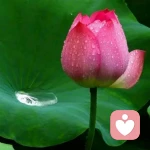 小慧的头像