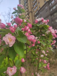 心理有個概念叫“病理性詭辯”，意思是說，有人喜歡靠反駁別人來凸顯自己的存在感。
他們能言善辯，往往在言語上致勝，引人關注，實則輸得一敗涂地。愚蠢的人，習慣性反駁憑什么；而聰明的人，一般能克制自己的反駁欲。
正如喬布斯所言：
“只要利益不產生沖突，別人講的話，一般不需要反駁。”
一個人能夠克制自己的反駁欲，才算真正的成熟。配圖