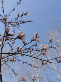 當(dāng)你改變了你的思維方式，你的感受就會隨之改變；當(dāng)你改變了你的感受，你的行為就會隨之改變；當(dāng)你改變了你的行為，你的生活也就發(fā)生了改變。一切始于改變……配圖