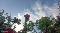 心理治療大師Whitaker說，婚姻不是兩個人的事，而是兩個各自被自己家庭洗了腦的人，重復自己在父母身上學到的事。配圖