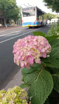 心理治療大師Whitaker說，婚姻不是兩個人的事，而是兩個各自被自己家庭洗了腦的人，重復自己在父母身上學到的事。配圖