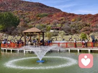 認(rèn)知行為療法可以幫助你擺脫以下情緒：
◎焦慮、恐懼、拖沓、害羞——日常生活中，這些棘手問題在阻礙著我們的進(jìn)步。
◎沮喪、抑郁、低落、逃避，以及其他類似的情緒。◎孤立，不愿與人群和事物接觸，不愿與人交流或聯(lián)系。
◎強(qiáng)迫癥和恐懼——強(qiáng)迫自己做一些事情，如不停地洗手、酗酒、害怕蠕動(dòng)的蟲子或是害怕狗。
◎妄自菲薄、缺乏自信——認(rèn)為任何事情你都無法搞定，都會(huì)給你帶來麻煩。配圖