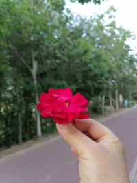 沒有人哄自己開心的時候，就自己哄自己開心。配圖