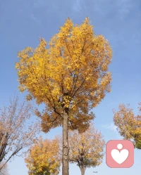 不能強迫別人來愛自己，只能努力讓自己成為值得愛的人，其余的事情則靠緣分。愿我們，都有能力愛自己，有余力愛別人配圖