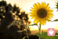 在不同的年紀，要演不同的自己，不必討好別人也不用迷失自己。配圖