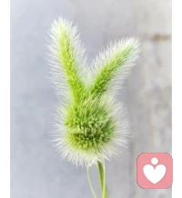 生活的道路上，别害怕孤独，因为只有独自前行，才能走出自己的精彩。配图