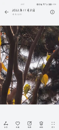 你尋找的答案，不在外面，在你的心里，它猶如一顆嫩芽，卻是你的生命力！配圖