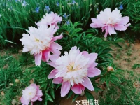 人這一生最大的修行，是學(xué)會愛自己。配圖