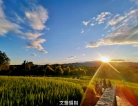 陰影只有被看見，我們才知道陽光的方向。不幸的創(chuàng)傷，是自己不能否認的一部分，去看見，去接納，去整合，才能療愈。相信自己，任何人都有超越過往、重塑內(nèi)在自我的力量！配圖