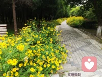 走選擇的路，別選擇好走的路，你才能成為真正的自己。————新的一周，新的開始。配圖