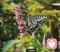 親密關系滿足的秘訣：一、欣賞你的伴侶；二、表達你的欣賞和感激；三、重復以上兩步。——羅蘭?米勒丹尼爾?珀爾曼《親密關系》配圖