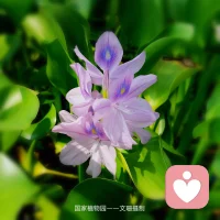 “凡事當留余地，得意不宜再往；處事須留余地，責善切戒盡言。”——《朱子家訓》配圖
