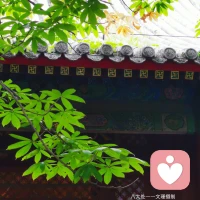 坐亦禪，行亦禪，一花一世界，一葉一如來，春來花自青，秋至葉飄零，無窮般若心自在，語默動靜體自然。配圖
