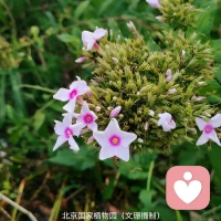 孩子弱小時，父母一定要強。這“強”，不是強詞奪理，不是恃強凌弱，而是“我本普通，但絕不可欺，我本善良，但有所不讓。”然后站成一棵樹，讓孩子知道你在；走成一條路，讓孩子在見過“保護”和“珍惜”的模板后，學會保護自我，珍惜自我。——作家劉娜配圖