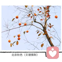 自然界有自己的因果順序，春天花開，夏天葉茂，秋天結實，冬天孕育。人生也是如此，每個時間段，有自己的使命。靜下心做該做的事，等時間到了，你自然可以看到期待的結果。配圖