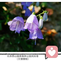 多子女的家庭，孩子其實并不需要均等地分享父母的愛，而是要在父母那里享有獨特的愛。每個孩子都有自己的特性，自帶閃光點，他們值得擁有獨特的愛，值得被父母看見和理解。沒有比較，孩子的能量才能聚焦在自己的成長上，精進自己。不必爭寵，兄弟姐妹間才能發展出相親相愛的情感，滋養彼此。配圖