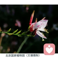 孩子會(huì)把父母的語(yǔ)音或是行為態(tài)度，像鏡子一樣映射在自己腦海中，并做出相應(yīng)的反應(yīng)，朝著父母眼中的自己狂奔而去。父母經(jīng)常肯定、理解孩子，一遍遍告訴孩子“你能行”、“沒(méi)問(wèn)題”、“你會(huì)越來(lái)越好”，那么孩子就會(huì)在祝福聲中成長(zhǎng)為他期待的樣子。配圖