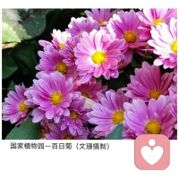 真正的愛，是把自己放在第一位——我自己先舒服了，才有資格說我愛你。當你真正為自己的生命負起全責，你就會吸引那些圓滿且能給愛的人來到你的生命——張德芬配圖