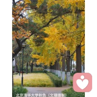 “一棵樹搖動另一棵，一朵云推動另一朵，一個靈魂喚醒另一個靈魂”。配圖