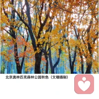 很多時候我們會被問題困住，掉落痛苦的陷阱，而看不到自身的力量。積極心理治療的目的，就是讓你把注意力集中在自身的積極力量上，培養內在的力量感和希望感。配圖