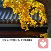 “生命不是安排，而是追求，人生的意義也許永遠沒有答案，但也要盡情感受這沒有答案的人生”配圖