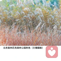 “想要心理健康，我們需要減少內(nèi)在的自我對話，即內(nèi)耗，并大膽地將內(nèi)心世界呈現(xiàn)出來。那么，如何更好地呈現(xiàn)自己的內(nèi)心世界呢？不妨試試這個方法：找一位合適的傾聽者。”配圖