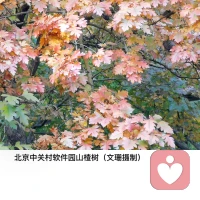 “那些我們討厭的特質，是因為我們否認自己身上也有，是個人內心恐懼的展示。因為你如何評判他人，并不展示別人是怎樣的人，卻展示了你的內心是怎樣的。”配圖