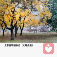 松弛感，是最好的養生。不急不躁，保持平常心，坦然活在自己的時區。配圖