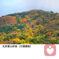 “在金錢問題上達成共識，是維系持久關系的重要因素。夫妻不只是情感的共同體，更是經濟共同體，在金錢觀念上的一致，是婚姻走向幸福的前提。”配圖